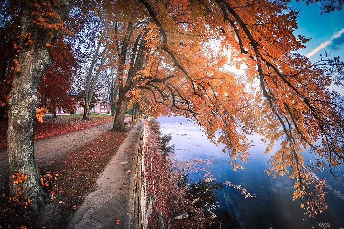 Herbstlich gefärbte Bäume am Uferweg