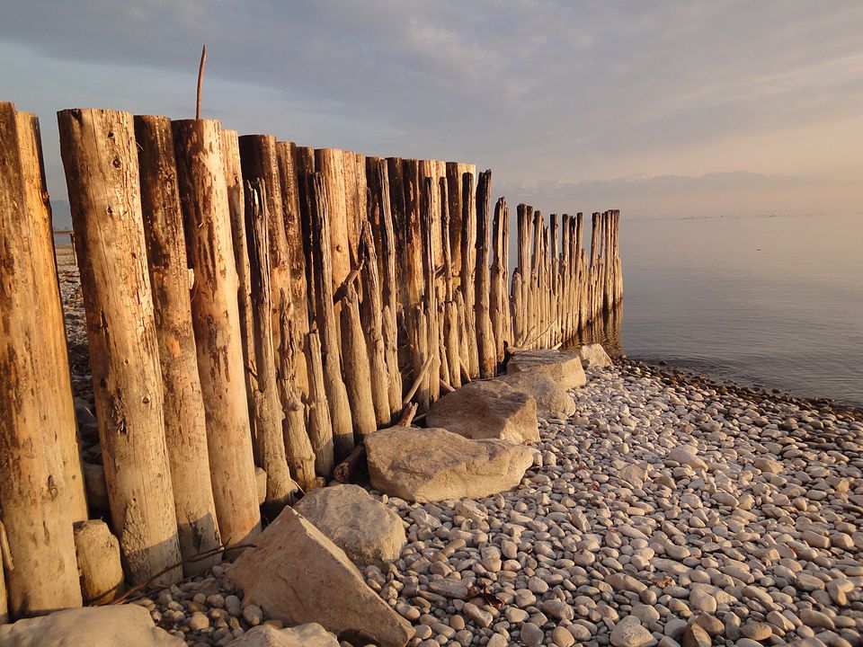 Holzpfähle am Kiesstrand im Abendlicht
