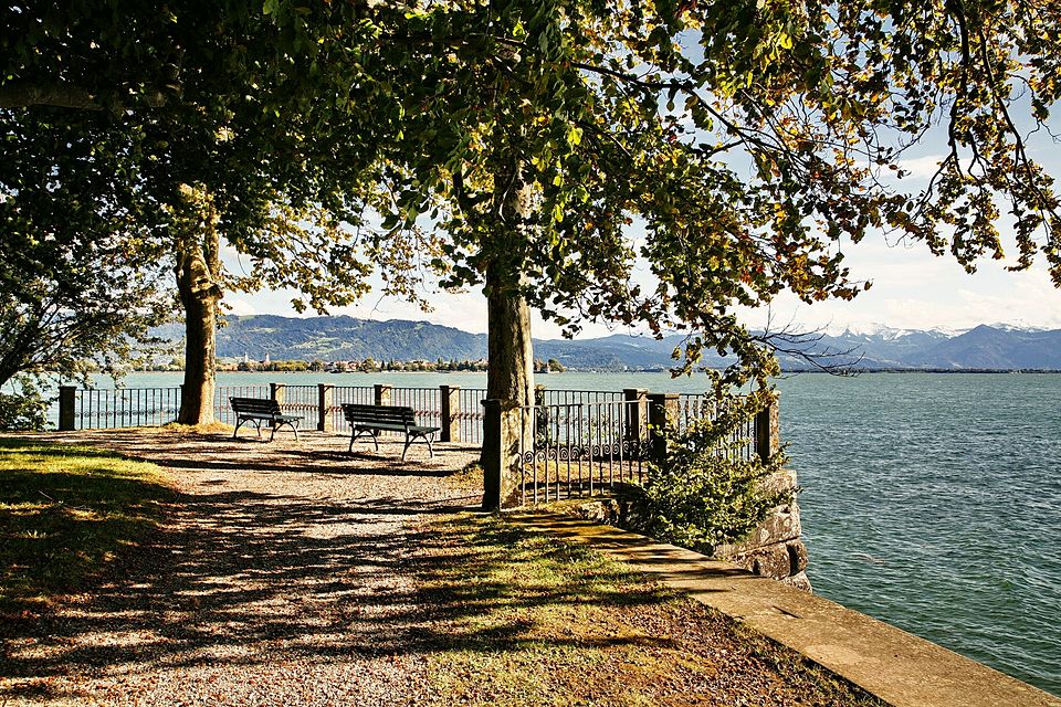 Bänke unter alten Linden am Seeufer mit Blick auf die Berge