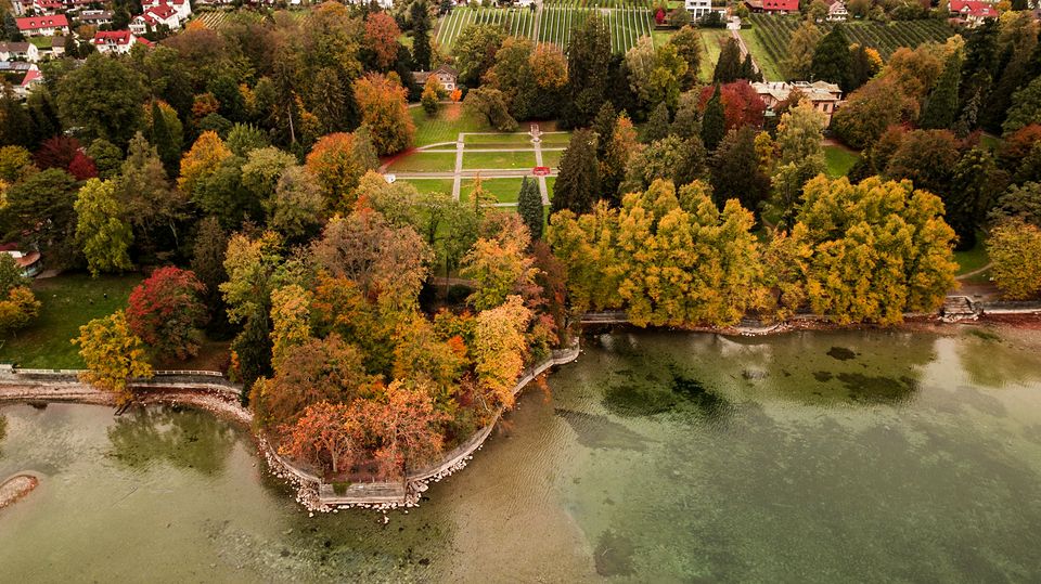 Der Lindenhofpark von oben im Herbst – Halbinsel, Uferlinie und Bäume