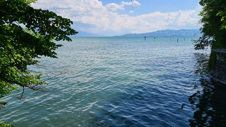 Sommerblau zwischen den Bäumen