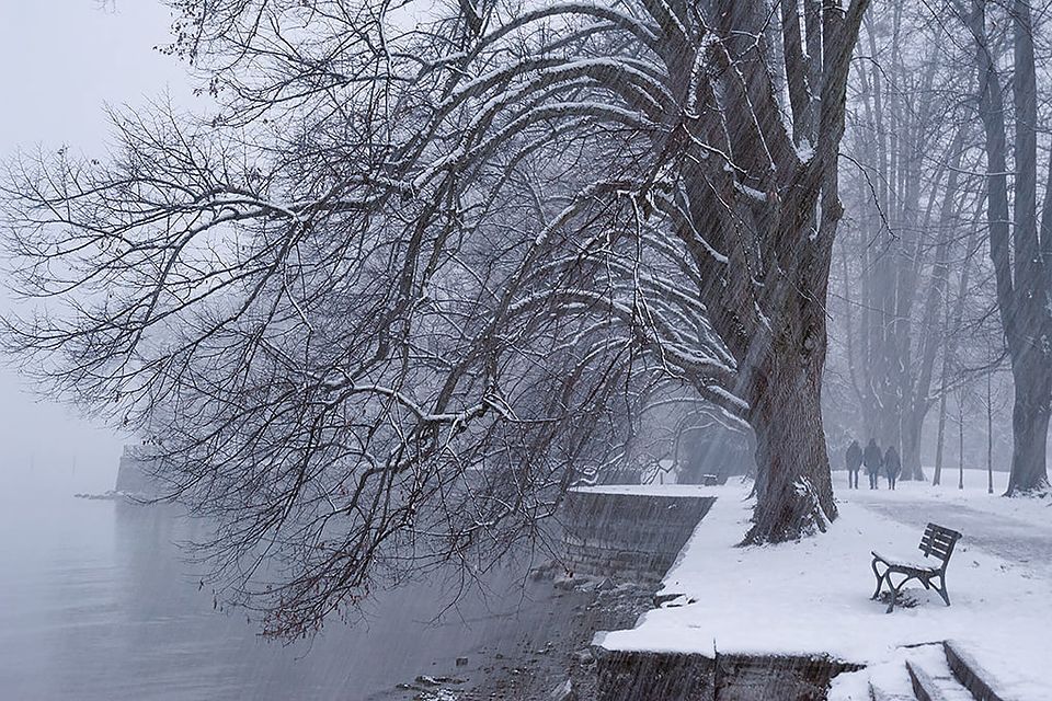 Schneetreiben am Ufer mit Bank und kahlen Bäumen